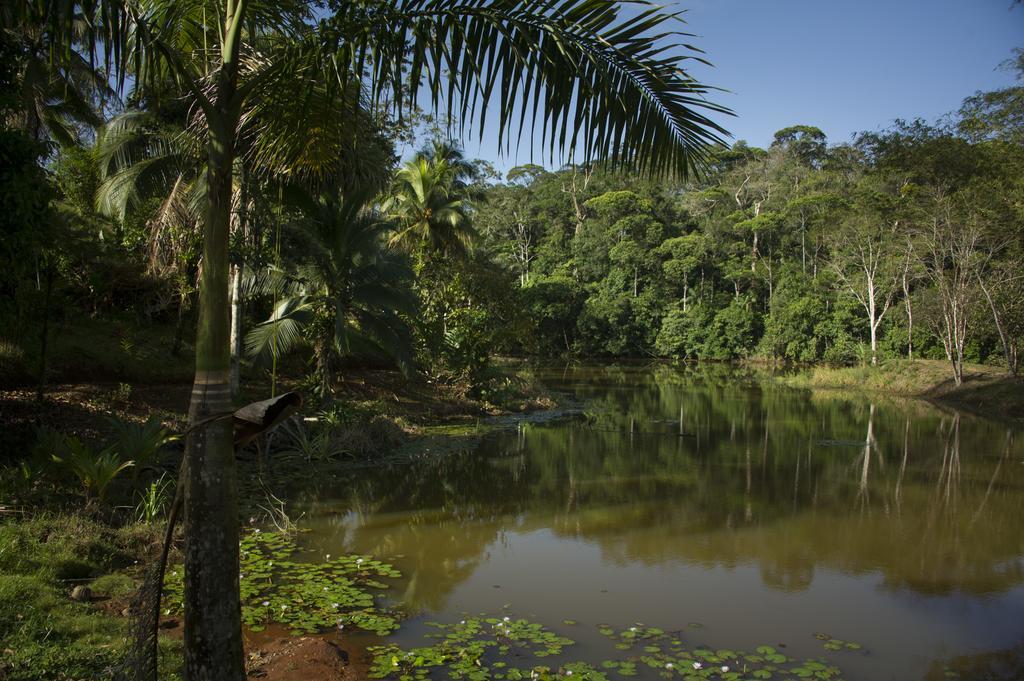 La Laguna Del Lagarto Eco-Lodge Pital  Εξωτερικό φωτογραφία