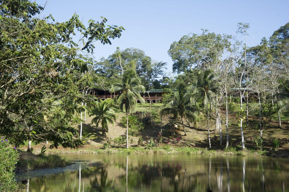 La Laguna Del Lagarto Eco-Lodge Pital  Εξωτερικό φωτογραφία