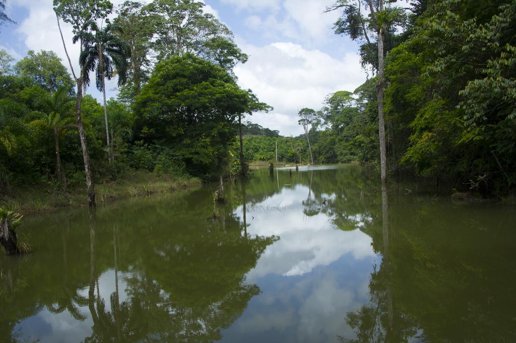 La Laguna Del Lagarto Eco-Lodge Pital  Εξωτερικό φωτογραφία