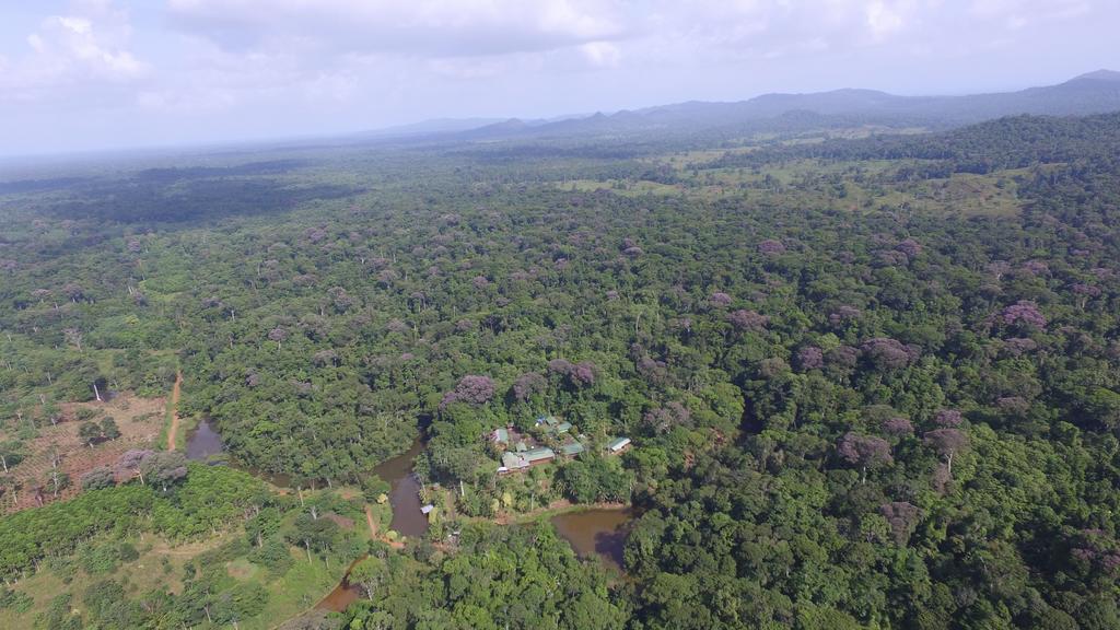 La Laguna Del Lagarto Eco-Lodge Pital  Εξωτερικό φωτογραφία