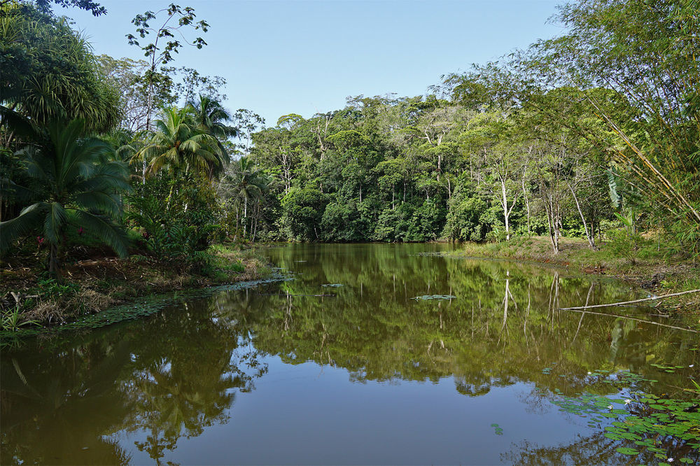 La Laguna Del Lagarto Eco-Lodge Pital  Εξωτερικό φωτογραφία