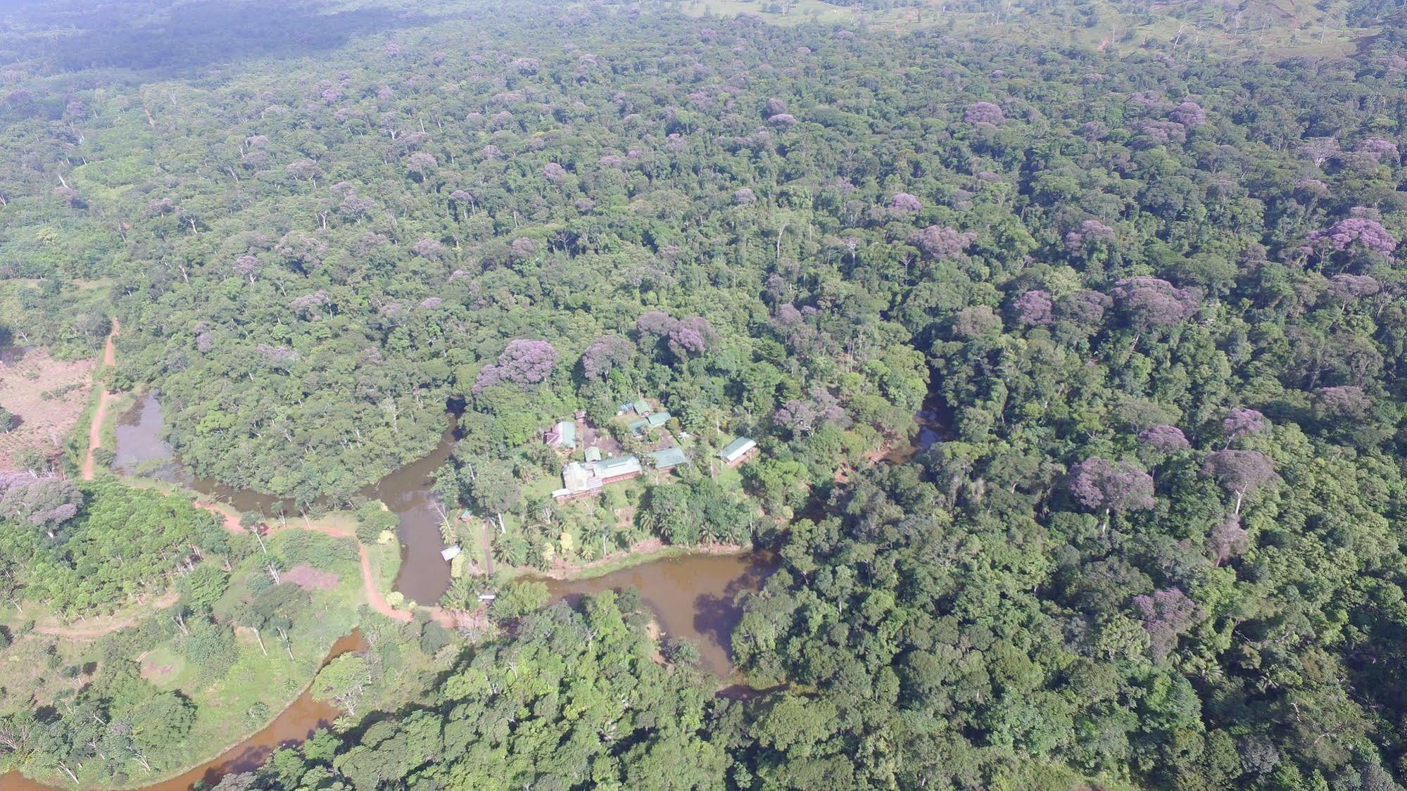 La Laguna Del Lagarto Eco-Lodge Pital  Εξωτερικό φωτογραφία