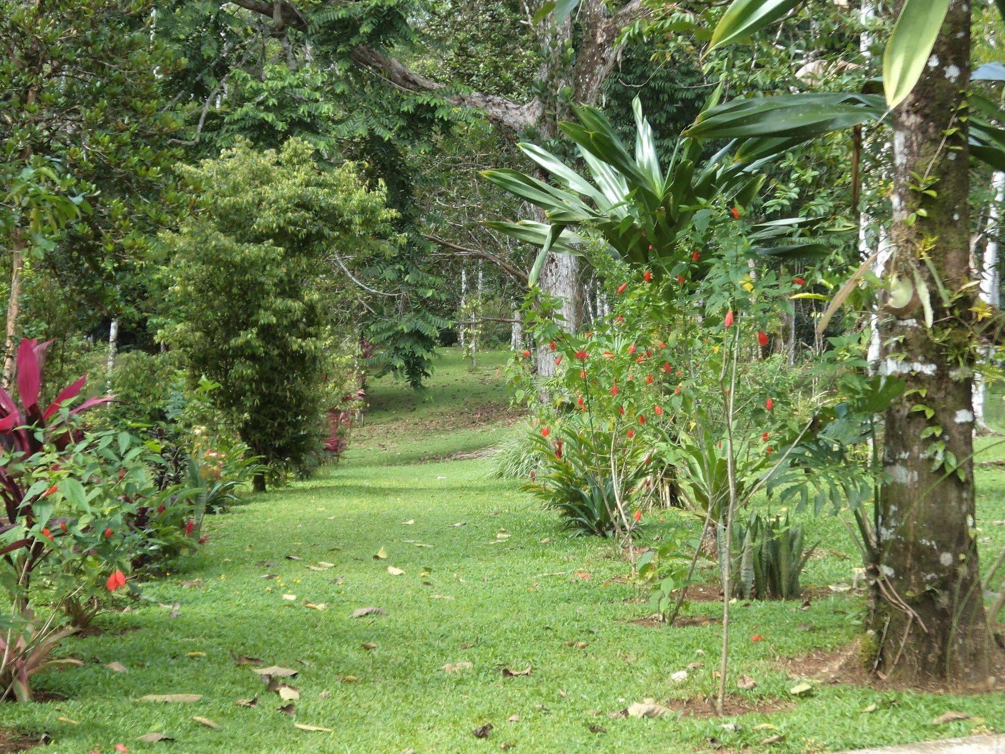 La Laguna Del Lagarto Eco-Lodge Pital  Εξωτερικό φωτογραφία