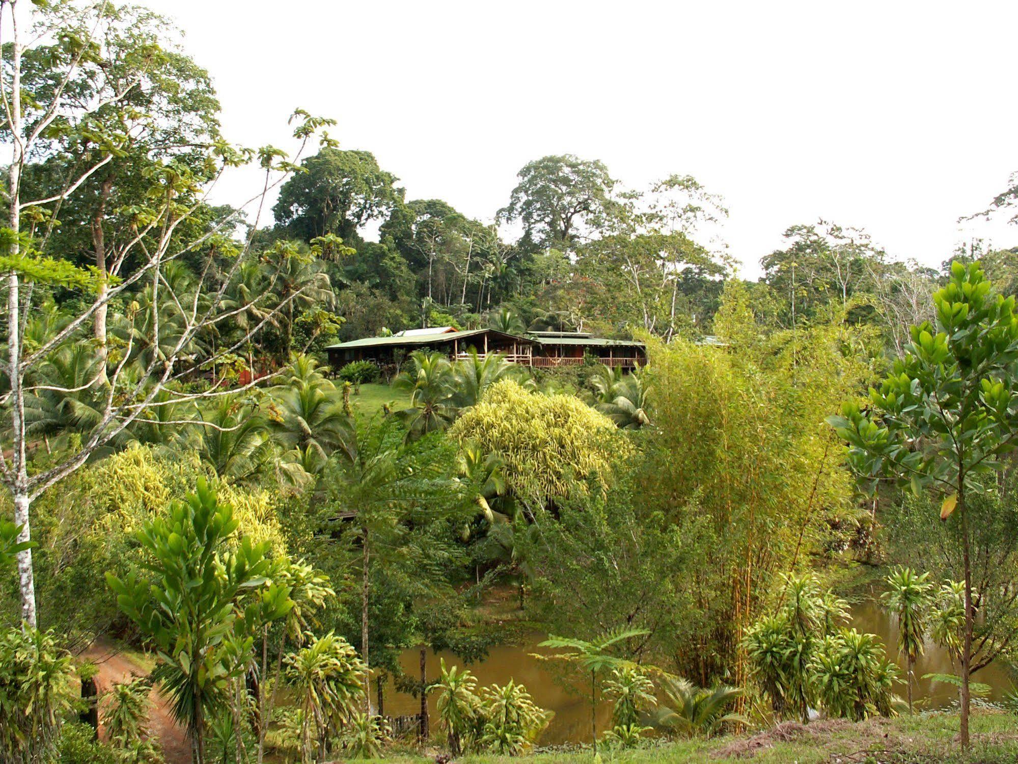 La Laguna Del Lagarto Eco-Lodge Pital  Εξωτερικό φωτογραφία
