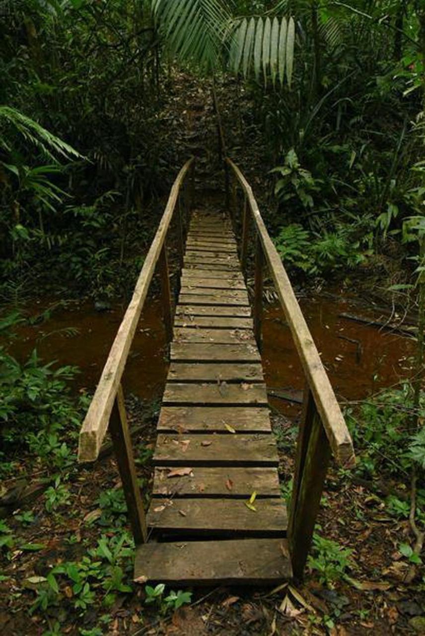 La Laguna Del Lagarto Eco-Lodge Pital  Εξωτερικό φωτογραφία